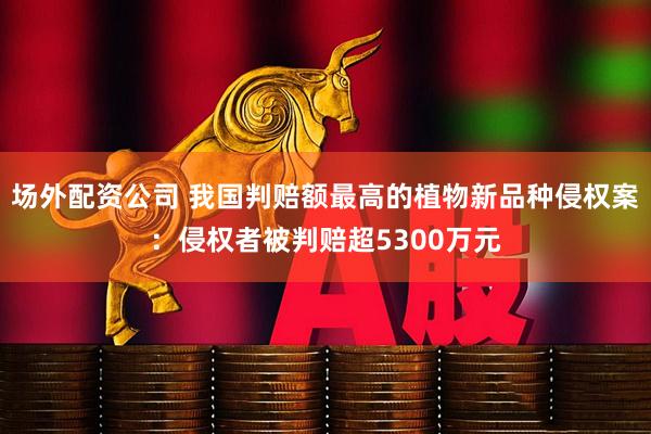 场外配资公司 我国判赔额最高的植物新品种侵权案：侵权者被判赔超5300万元